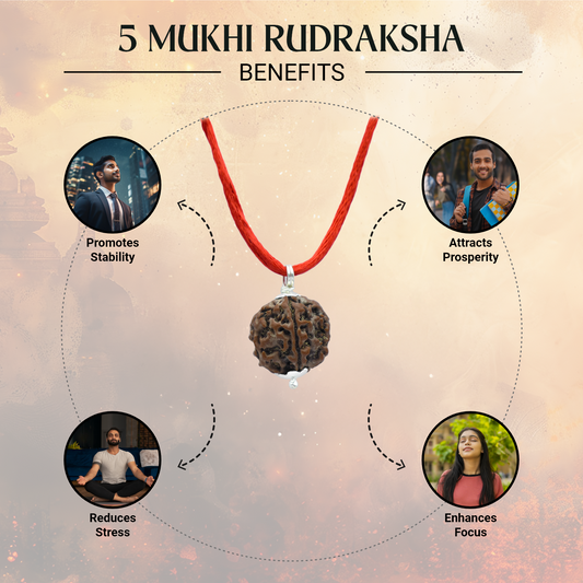 Nepal Origin 5 Mukhi Rudraksha (Silver Capped)