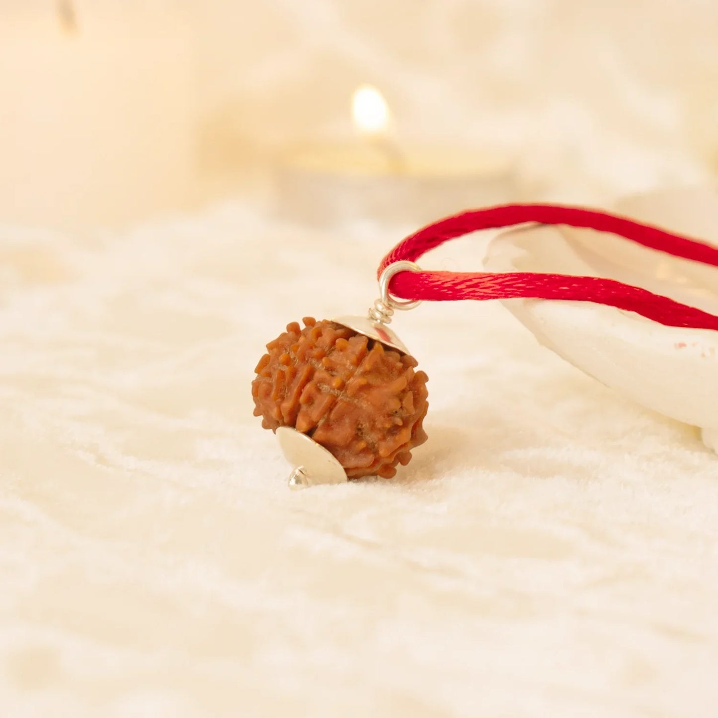 5 Mukhi Rudraksha