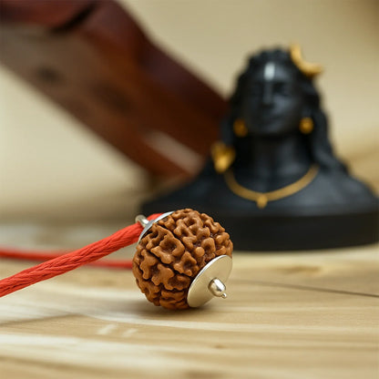 Nepal Origin 7 Mukhi Rudraksha (Silver Capped)