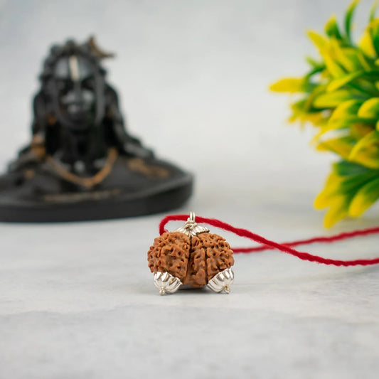 Gauri Shankar Rudraksha