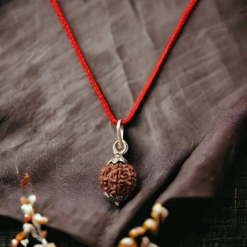 7 Mukhi Rudraksha with Lab Certificate + FREE 5 Mukhi Rudraksha Bead Divine Rudra