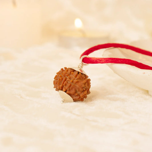 5 Mukhi Rudraksha