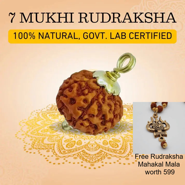 (Festive Offer) 7 Mukhi Rudraksha with Lab Certificate + FREE 5 Mukhi Rudraksha Mahakal Necklace