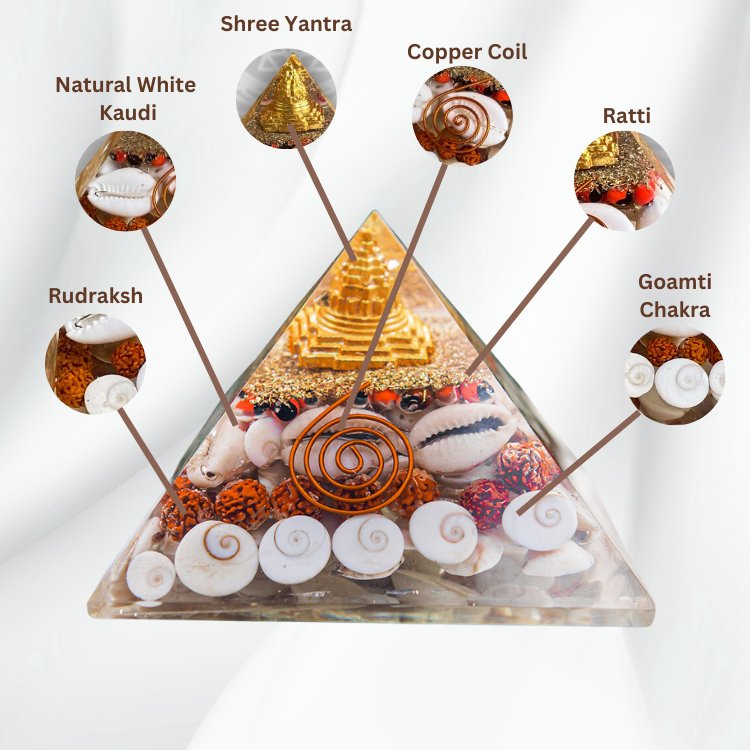 Gomti Chakra Divine Rudra